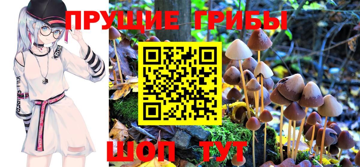 Галлюциногенные грибы Magic Shrooms Муравленко