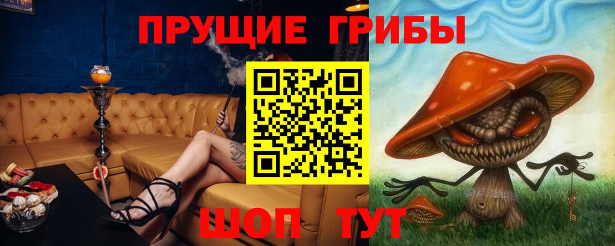 Галлюциногенные грибы Psilocybe  Вход с VPN  Муравленко 